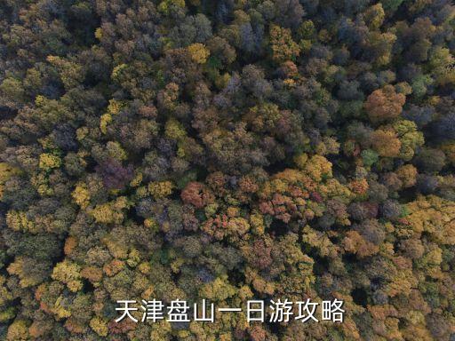  天津盤山一日游攻略