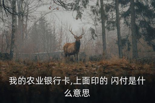 我的農業銀行卡,上面印的 閃付是什么意思