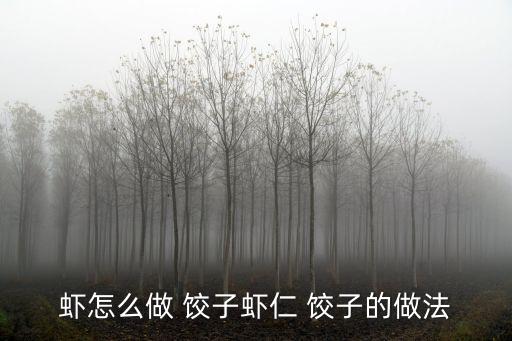 蝦怎么做 餃子蝦仁 餃子的做法