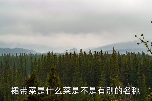 裙帶菜是什么菜，裙帶菜又名什么菜就是菜店里叫啥菜