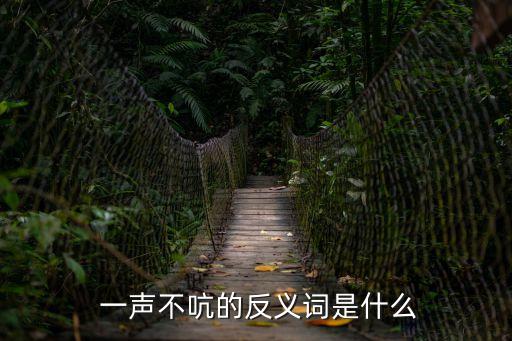 一聲不吭造句,一聲不吭:保持沉默一言不發