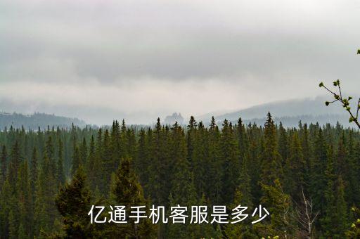 億通手機(jī)客服是多少