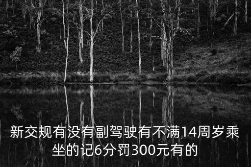 東莞后排安全帶 新交規，廣東東莞高速公路上副駕駛座沒帶安全帶最高扣多少錢