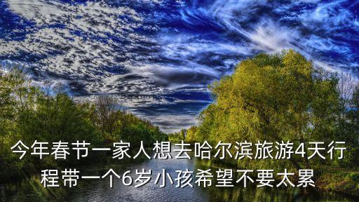 今年春節(jié)一家人想去哈爾濱旅游4天行程帶一個6歲小孩希望不要太累