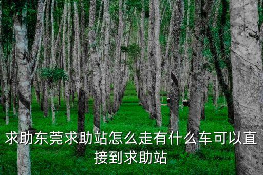 求助東莞求助站怎么走有什么車可以直接到求助站