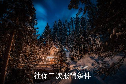 社保二次報銷條件