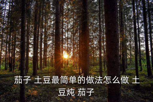  茄子 土豆最簡單的做法怎么做 土豆燉 茄子
