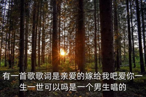 有一首歌歌詞是親愛的嫁給我吧愛你一生一世可以嗎是一個男生唱的