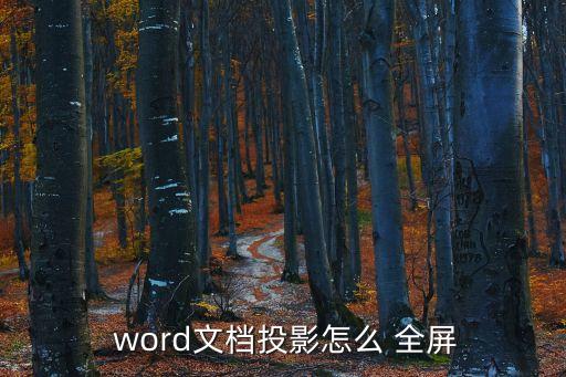  word文檔投影怎么 全屏