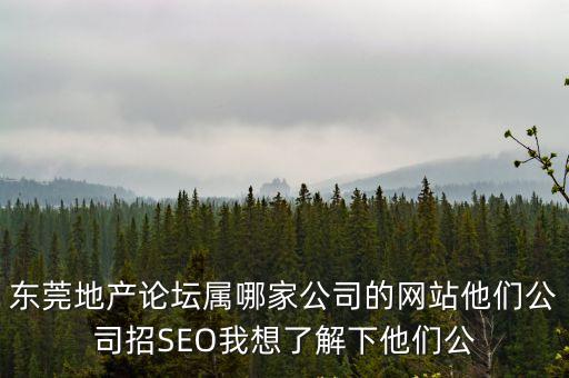 東莞市億信投資咨詢有限公司，東莞地產論壇屬哪家公司的網站他們公司招SEO我想了解下他們公