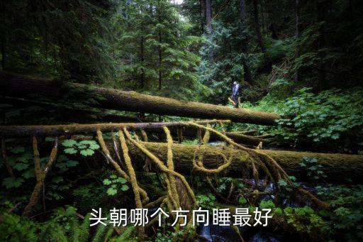 睡覺頭朝哪個方向好，頭朝哪兒睡覺好