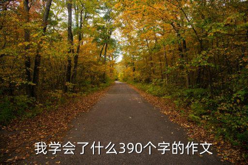 我學(xué)會了什么390個字的作文