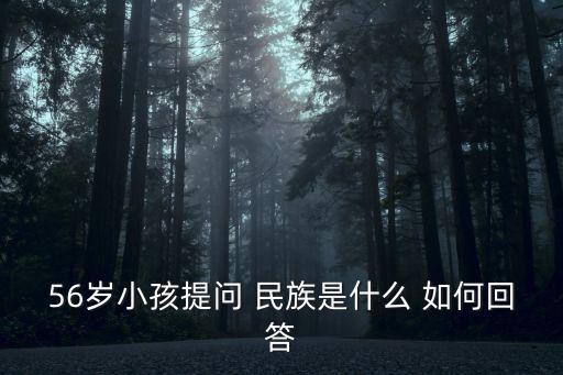 56歲小孩提問 民族是什么 如何回答