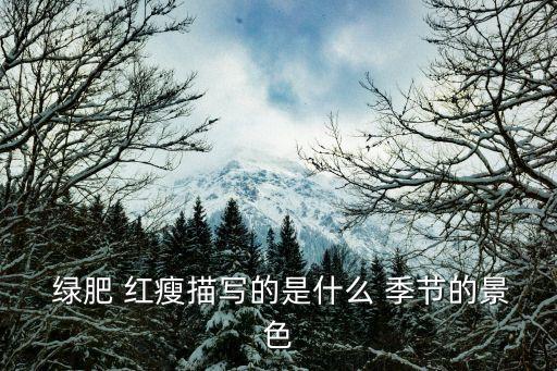 綠肥紅瘦是什么季節,李清照的早期作品