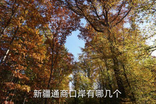 新疆通商口岸有哪幾個