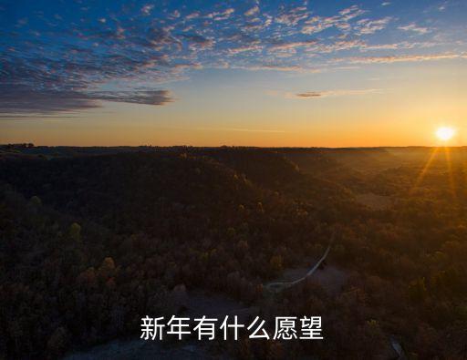 新年愿望，新年有什么愿望