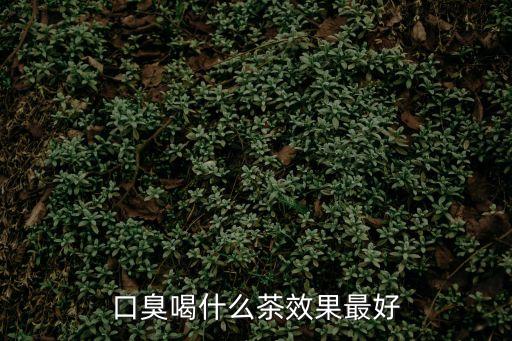 去口臭喝什么茶，喝什么茶除口臭