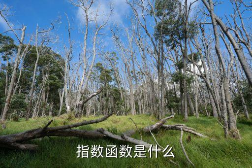 指數函數的概念，指數函數定義