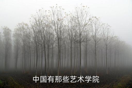 中國有那些藝術學院
