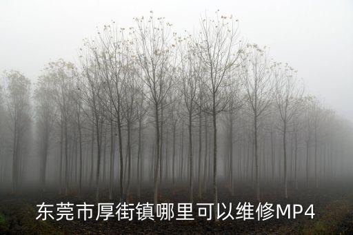 東莞市厚街鎮哪里可以維修MP4
