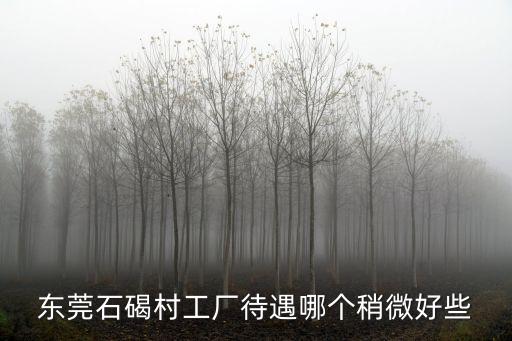東莞石碣村工廠待遇哪個(gè)稍微好些