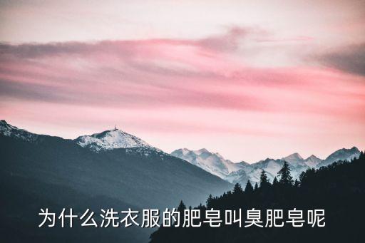 臭肥皂，什么是臭味皂