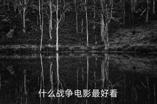 什么戰爭電影最好看