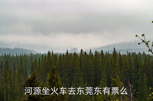 河源陸川到東莞東火車票還有不，河源坐火車去東莞東有票么