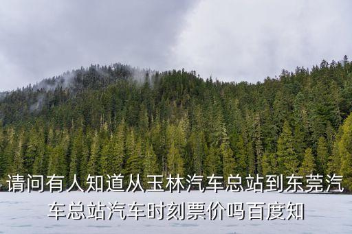汽車票玉林到東莞大巴車，廣西省玉林市到東莞長安車票多少錢