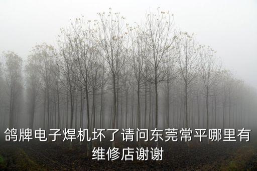 鴿牌電子焊機壞了請問東莞常平哪里有維修店謝謝