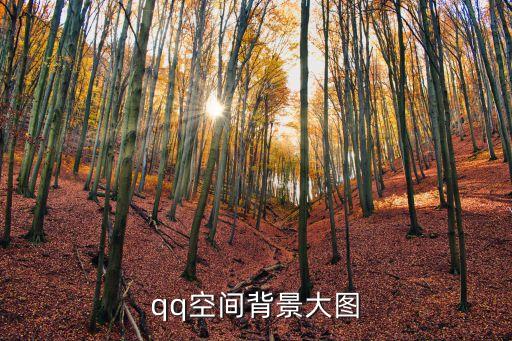 背景圖qq，QQ空間背景圖片