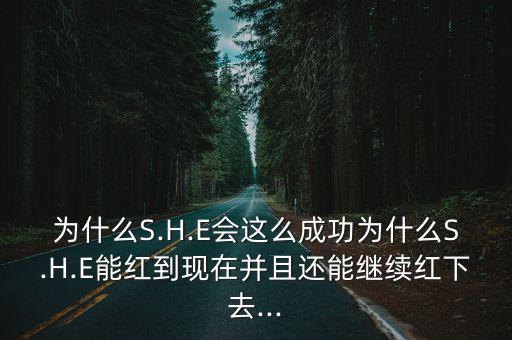 超可能,第二集:第一集:女主角林瑞蓮的新年賀詞