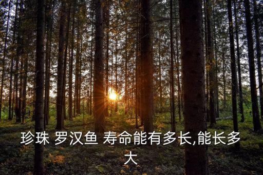 羅漢魚壽命,羅漢魚身體兩側(cè)有黑色花紋最長壽命未考證