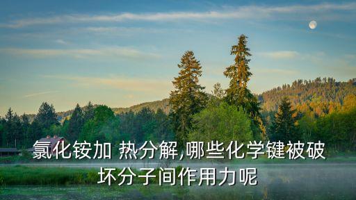 氯化銨受熱分解,氫化銨遇熱分解產生白煙