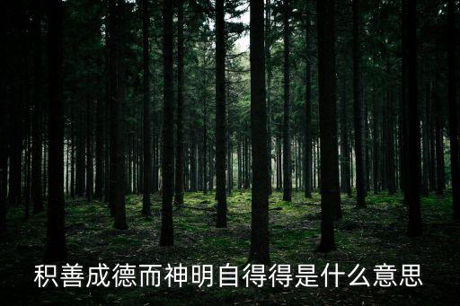積善成德而神明自得得是什么意思