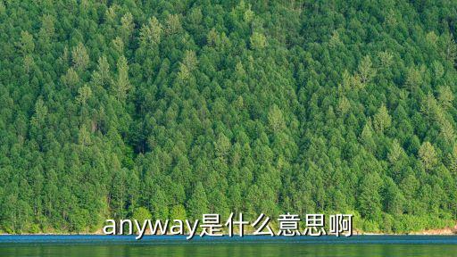 anyway口語意思,聽聽你的意見!反正adv.反正；