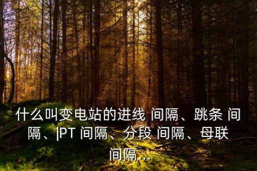 什么叫變電站的進線 間隔、跳條 間隔、|PT 間隔、分段 間隔、母聯 間隔...