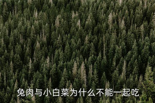兔肉不能和什么一起吃,兔肉不能與以下食物同食