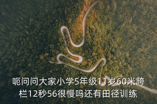呃問問大家小學5年級11歲60米跨欄12秒56很慢嗎還有田徑訓練
