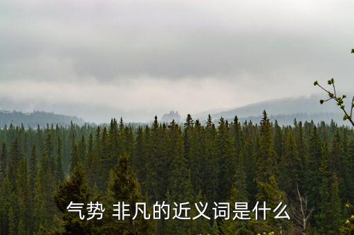  氣勢 非凡的近義詞是什么