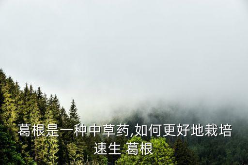 葛根種植,葛根人工栽培首步選址排水良好地塊栽培