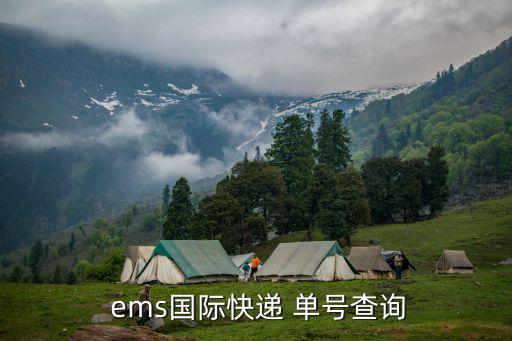  ems國際快遞 單號查詢