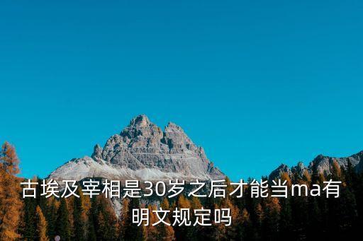 維西爾，維西爾翻譯成英文的字母是什么