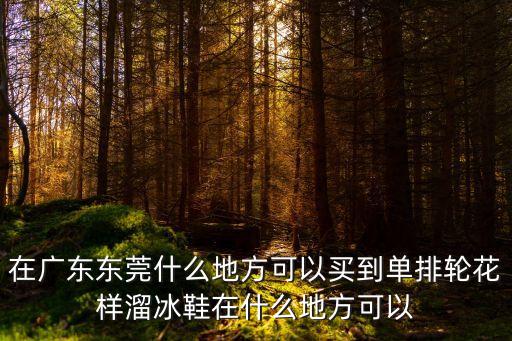 在廣東東莞什么地方可以買到單排輪花樣溜冰鞋在什么地方可以