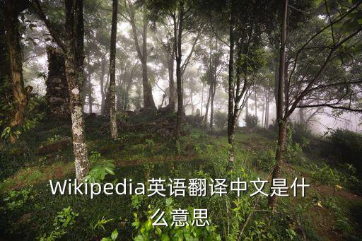 Wikipedia英語翻譯中文是什么意思