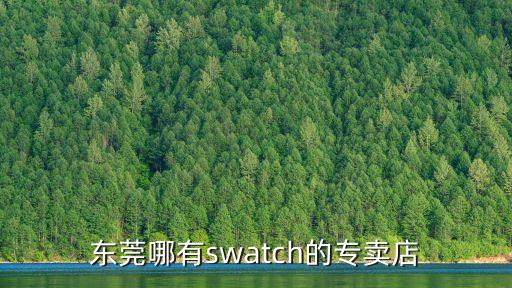 東莞哪有swatch的專賣店