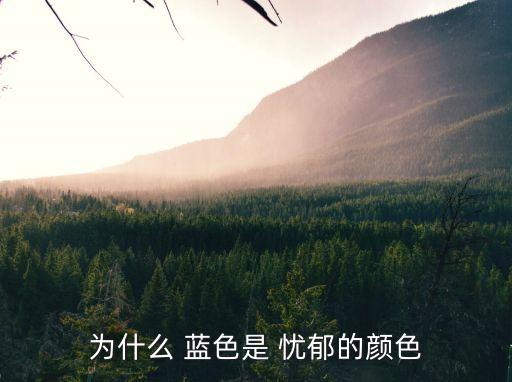 藍色憂郁,藍色憂郁是一種貴族限制還是一場電影