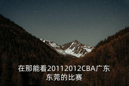 在那能看20112012CBA廣東東莞的比賽