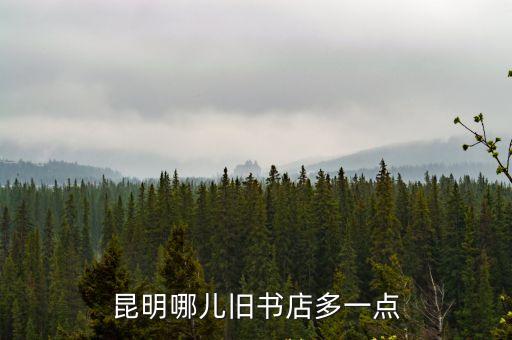 昆明哪兒舊書店多一點