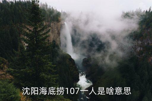 沈陽火鍋,火鍋，古稱撲通火鍋店鋪可打包